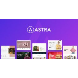 Astra Theme 4.10.1  + Portfolio 1.13.1  Wordpress Theme